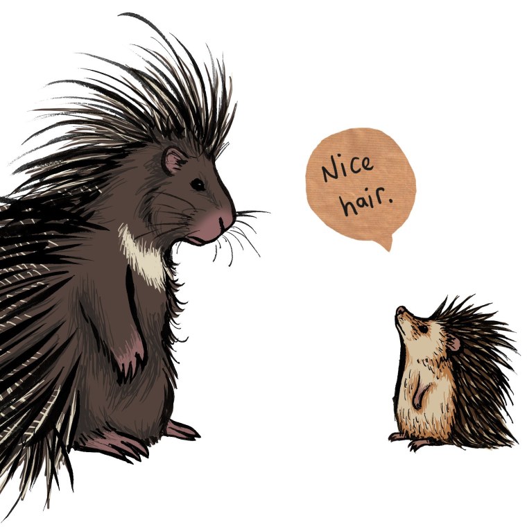 Эш и Джонни