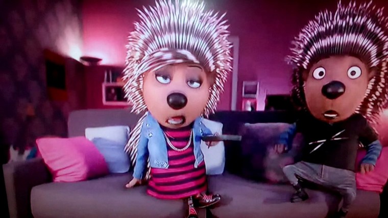 Дикобраз анатомия