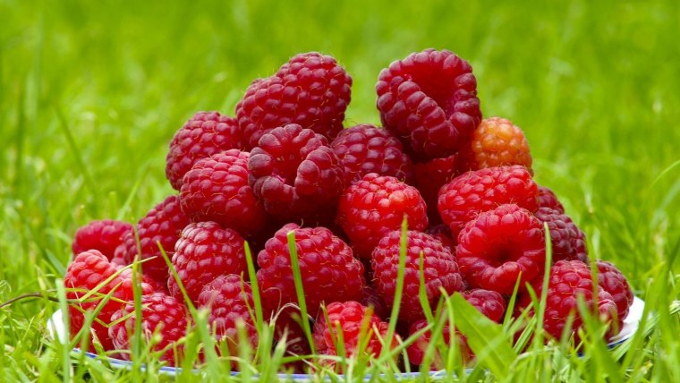 Вишня, ежевика, малина, клубника