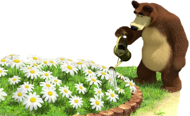Медведь с ромашкой