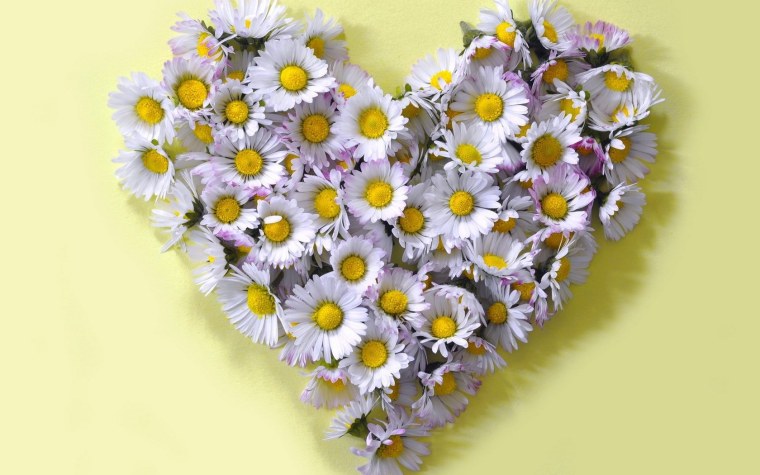 Букет ромашек