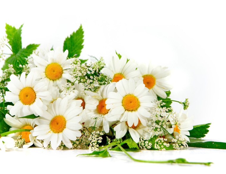 Поздравление с ромашками