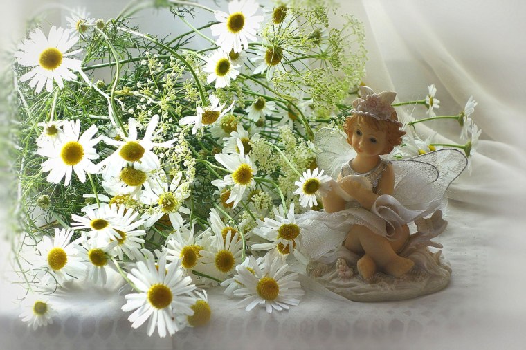 Ромашки для Дочки
