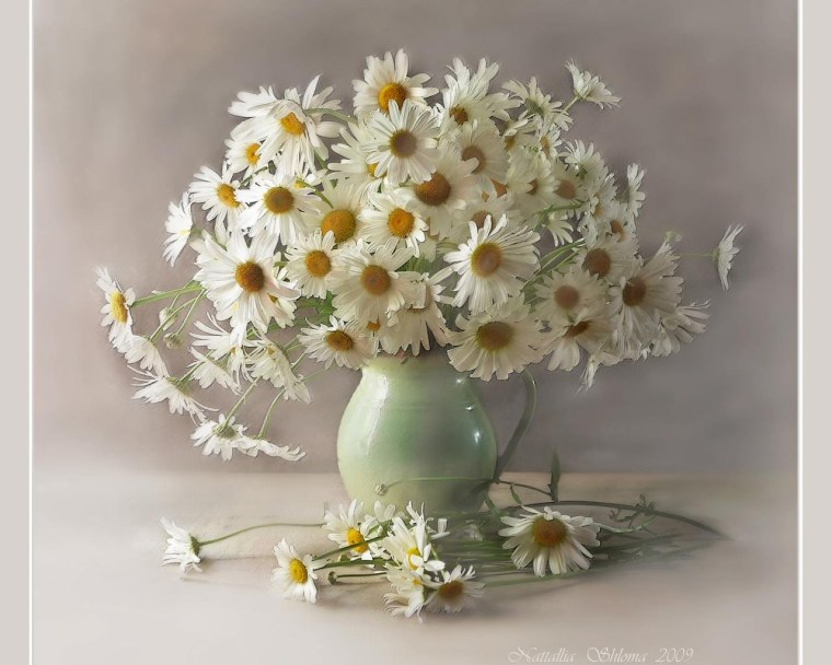 Букет ромашек с днем рождения