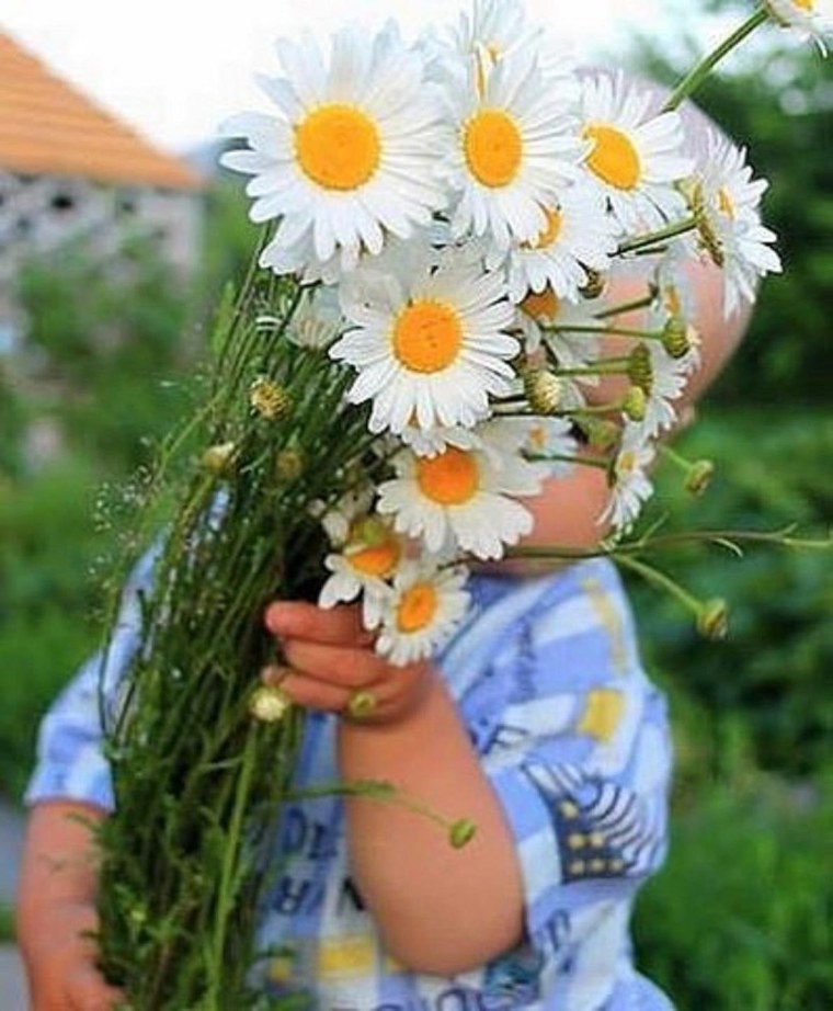 Дарит букет ромашек
