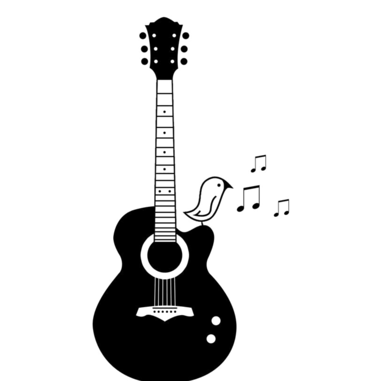 Черно белая акустическая гитара