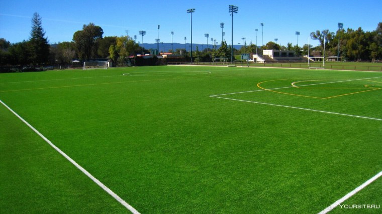 Футбольное поле с натуральной травой