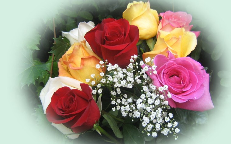 Красивые фото с цветами роз