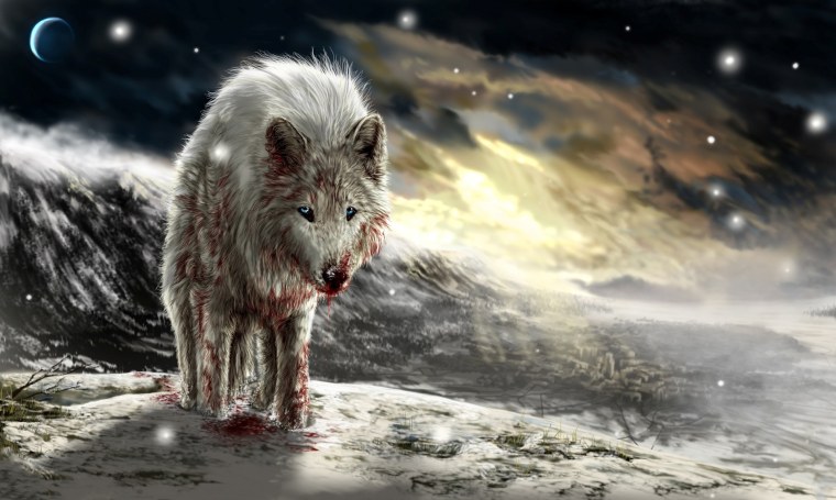 Волк одиночка