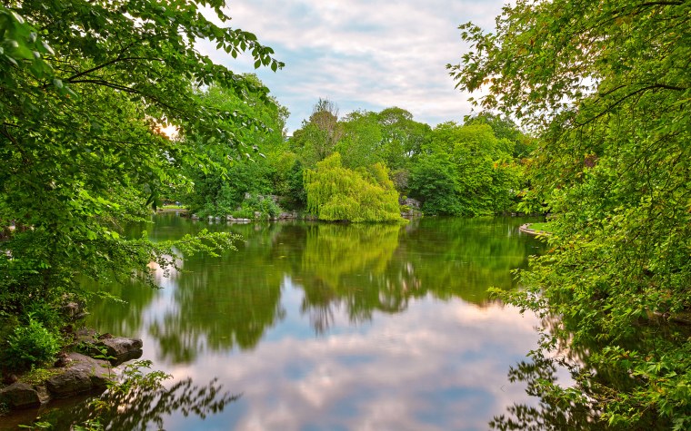 Летняя природа