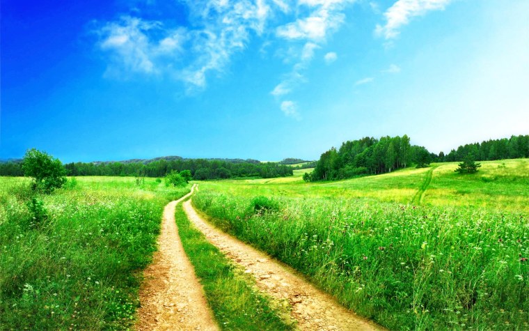 Летняя природа