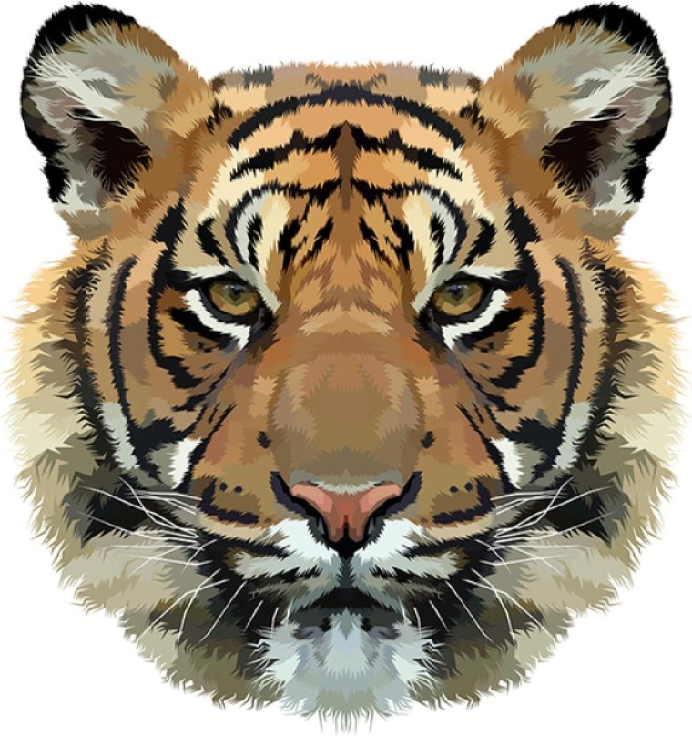 Обои на экран тигр