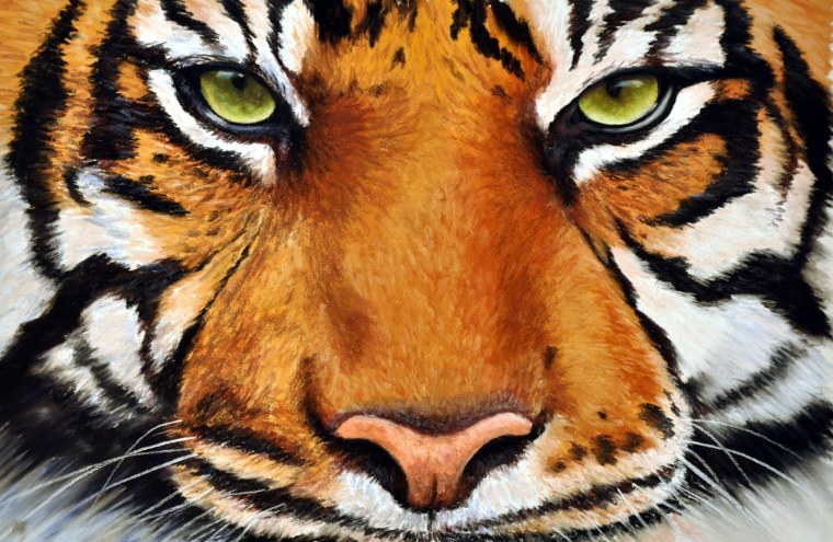 Голова тигра