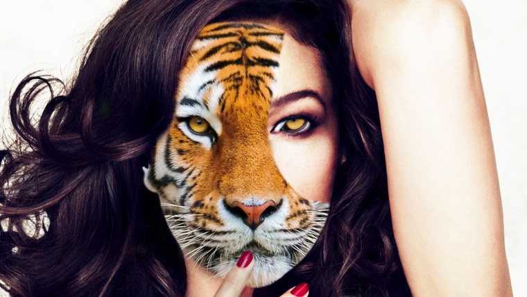 Тигр оскал анфас