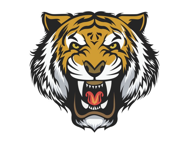 Tiger face expressions