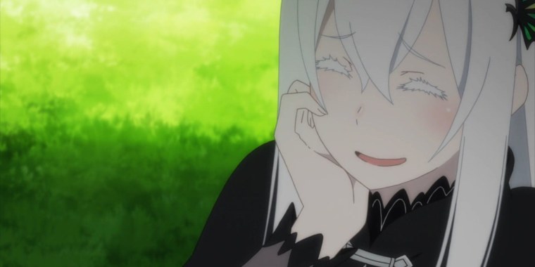 Ехидна Ре Зеро чай