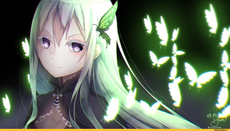 Re Zero Kara Hajimeru Isekai Seikatsu Echidna