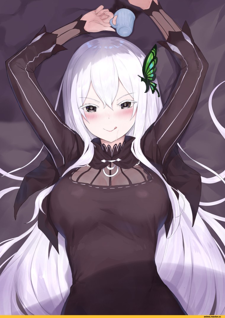 Ехидна резеро