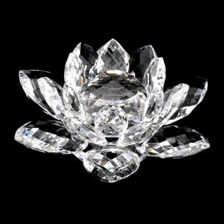 Лотос космос Кристал