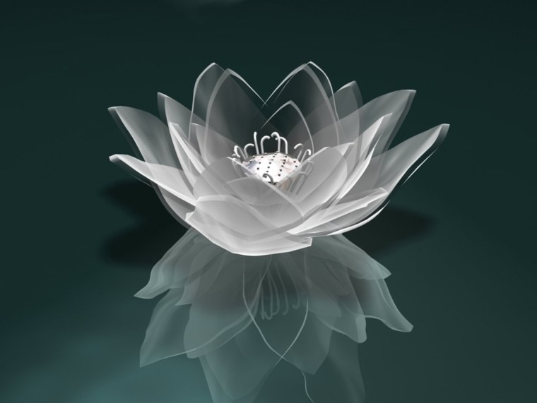 Хрустальные цветы