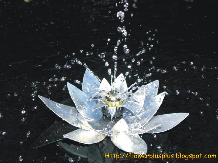 Хрустальные лилии