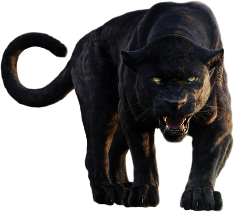 Пантера в полный рост