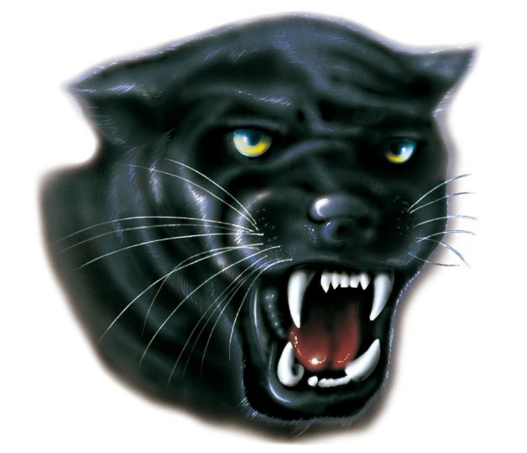 Голова пантеры
