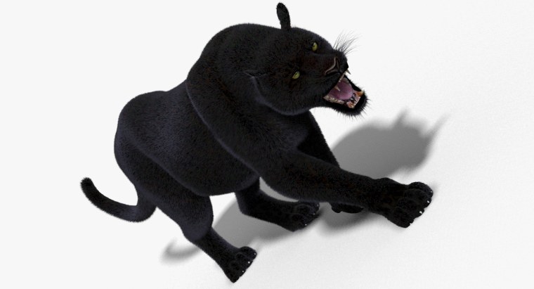 Miestilo пантера