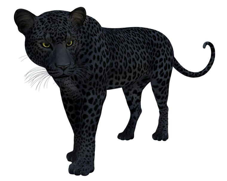 Костюм икоктииз Марвел чёрная пантера