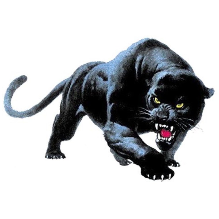 Пантера в прыжке