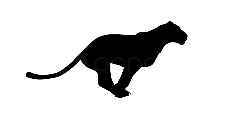Силуэт пантеры на белом фоне