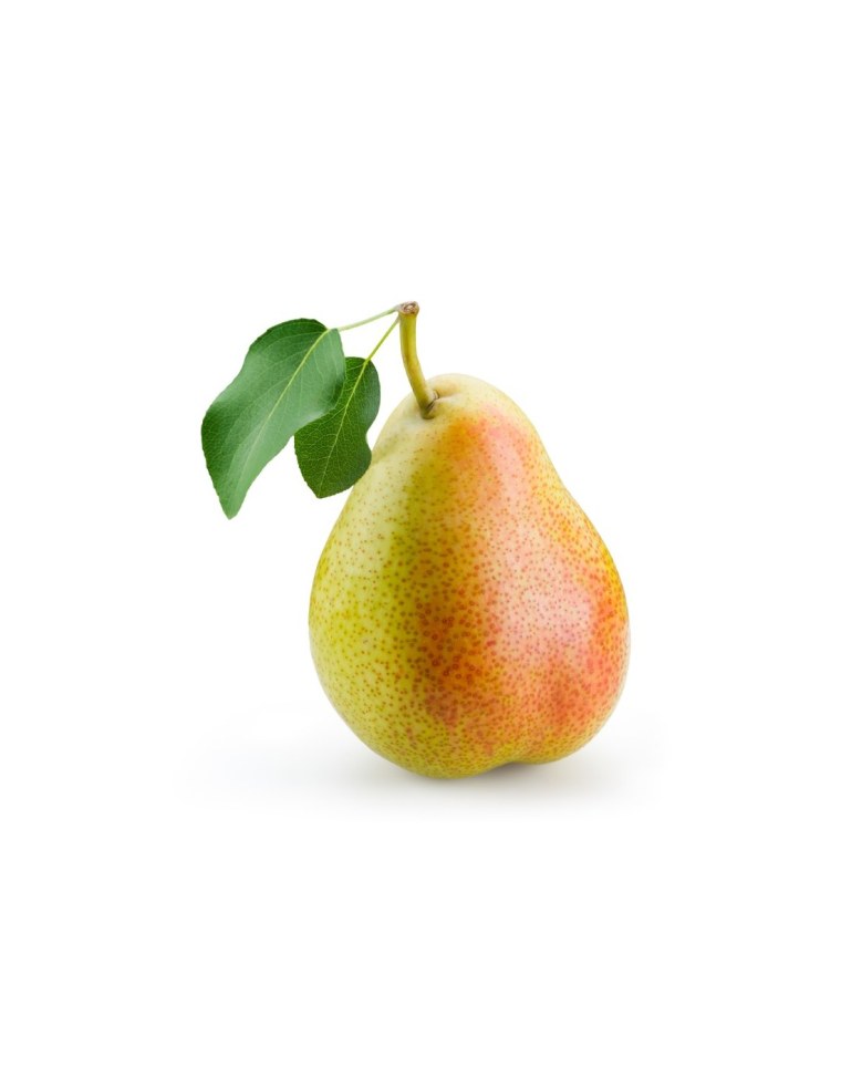 Груша Вильямс