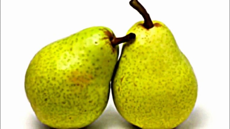 Груша Пакхам Вильямс сорт