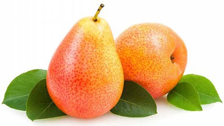 Фрукты на белом фоне