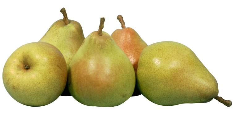 Груша Банкетная
