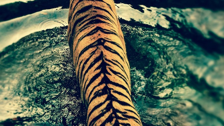 Летний пейзаж с мостом