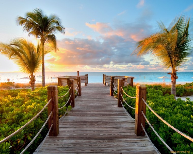 Черри блоссом чб