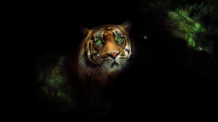 Картинки на рабочий стол вертикальные