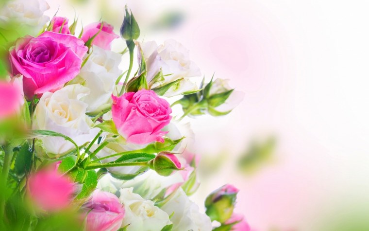 Цветочный фон