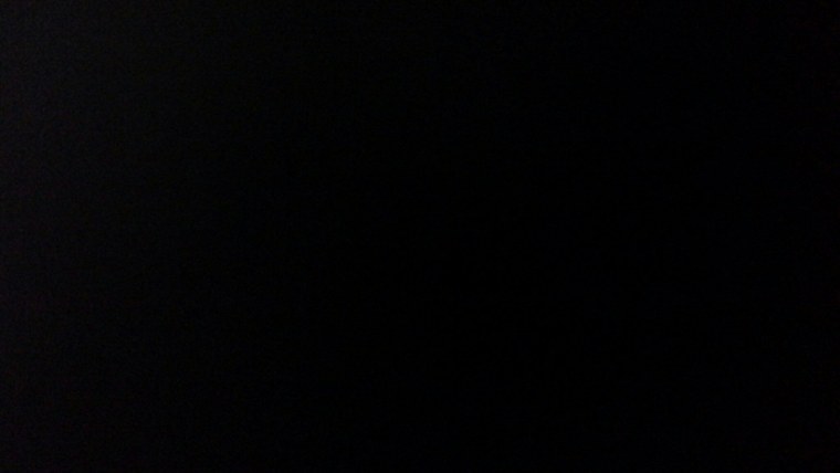 Шарлотта спрингер доменша