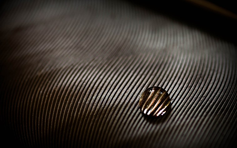 Макросъемка металла