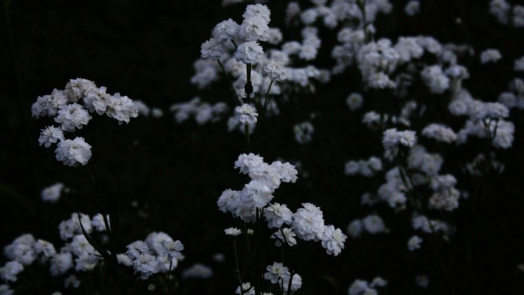 Природа с грозой