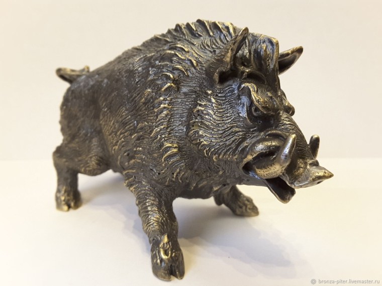 Хвост кабана картинки