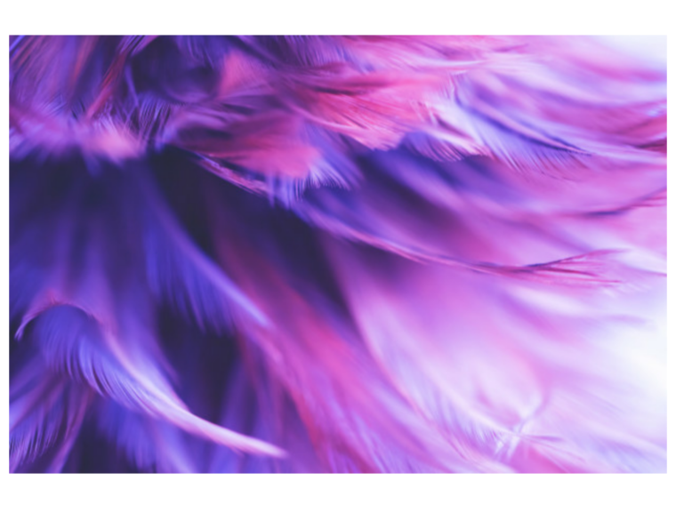 Лиловые перья