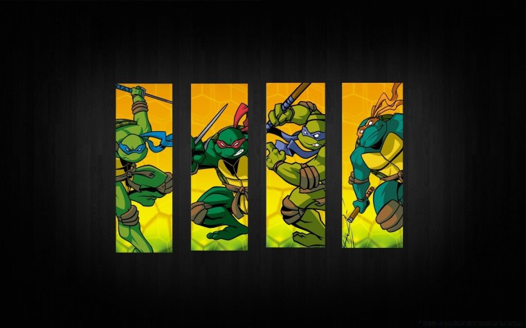 Черепашки ниндзя 2003 Постер