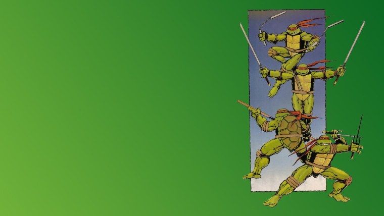 Teenage Mutant Ninja Turtles: the Cowabunga