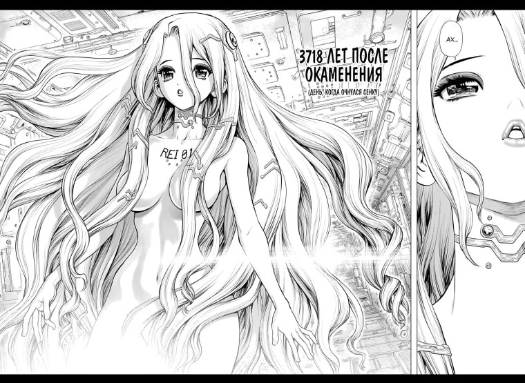 Бьякуя Ишигами