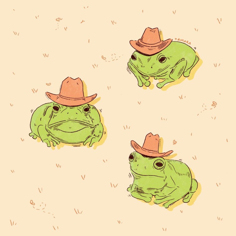 Эстетика лягушки инди КИД