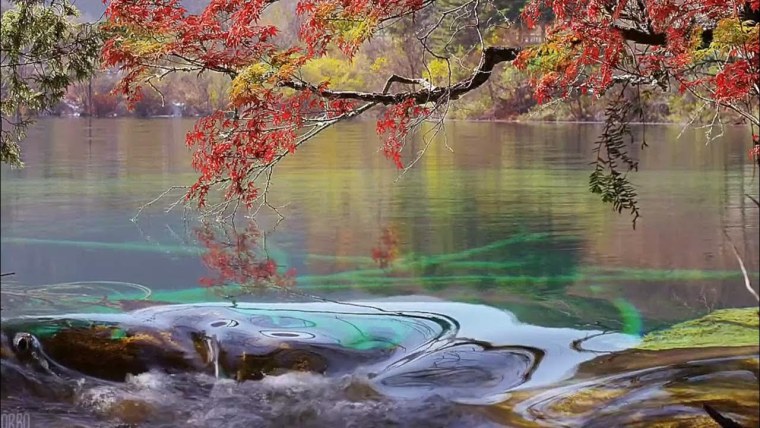 Движущийся пейзаж