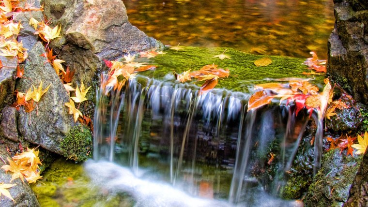 Водопад с рыбками